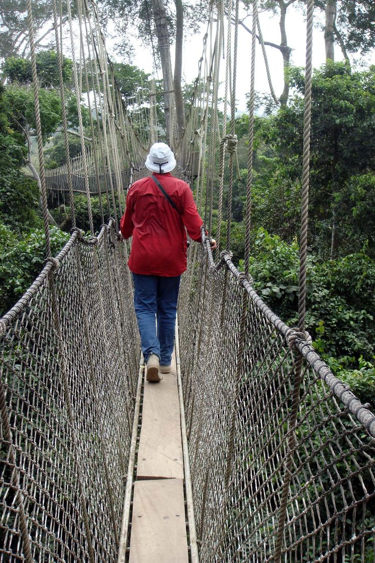 Canopy Walk Bridge